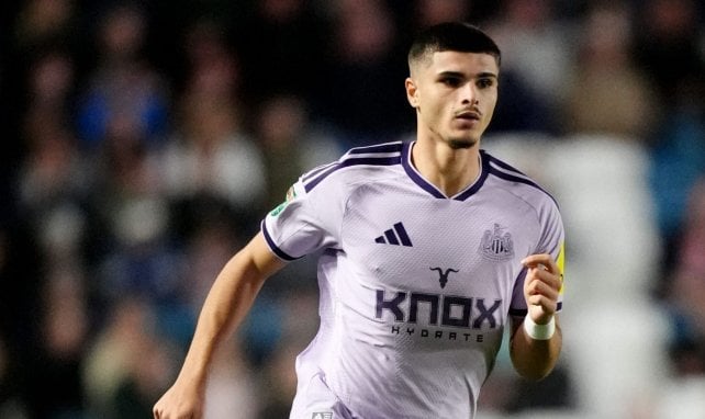 Matías Fernández-Pardo prend très cher pour ses débuts à Newcastle