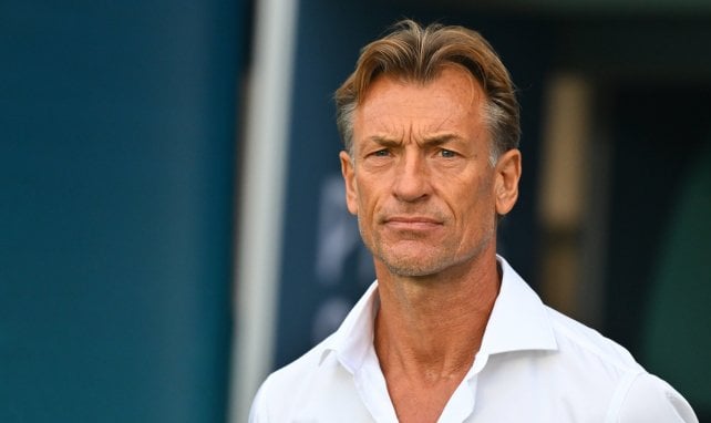 Herve Renard