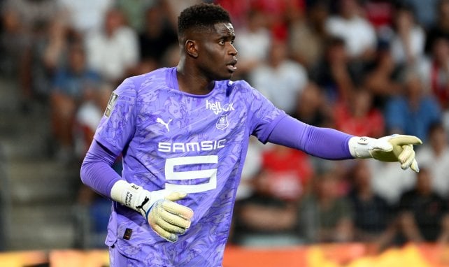 Rennes : le soutien de Brice Samba à Habib Beye
