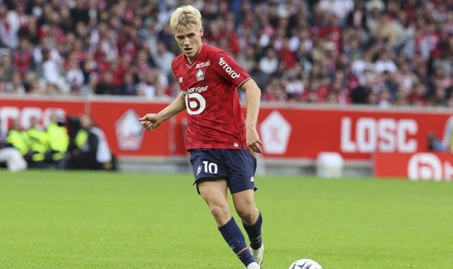 Haraldsson (Lille)