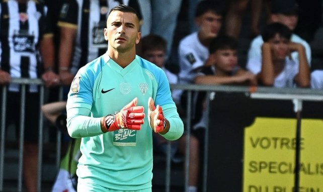 Angers : l’incroyable renaissance d’Anthony Lopes