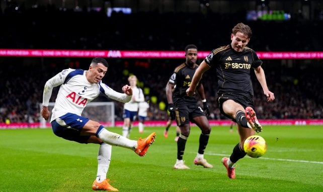 PL : Fulham prend le meilleur sur Tottehnam