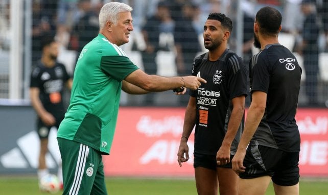 Coupe du Monde 2026, Algérie : Vladimir Petkovic n’a pas prévu de plan anti-Messi face à l’Argentine