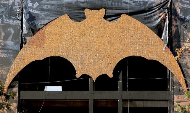 La chauve-souris de Valence