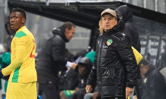 Gernot Rohr et le Bénin