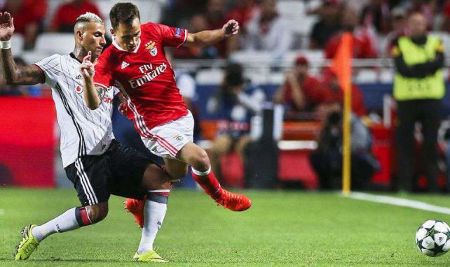 Alex Grimaldo fait un tabac à Benfica !