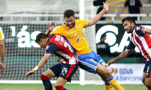 Club Tigres UANL André-Pierre Gignac