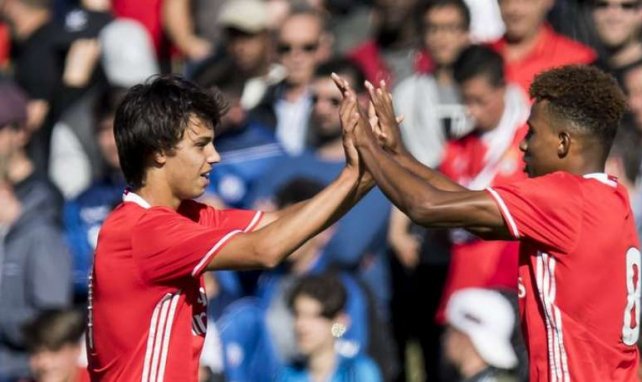 João Felix, à gauche, est l'un des jeunes les plus prometteurs de Benfica
