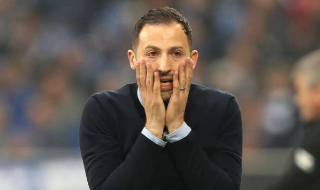 Le Cri du désespoir de Domenico Tedesco !