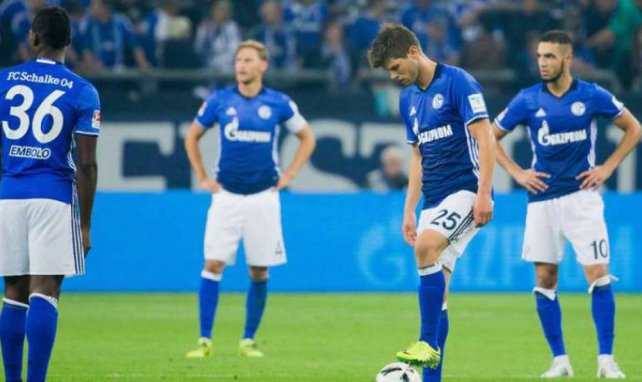 Schalke 04 Nabil Bentaleb
