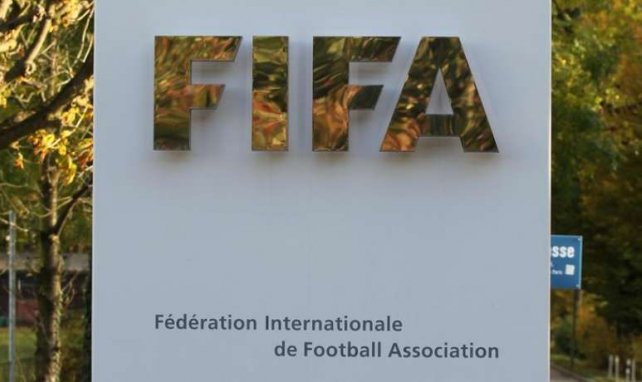 Qui succèdera à Sepp Blatter à la FIFA ?