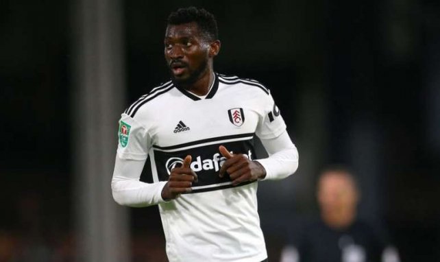 Fulham André-Frank Zambo Anguissa