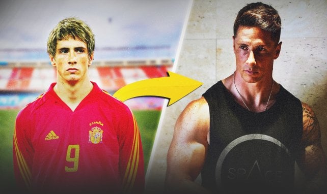 Fernando torres