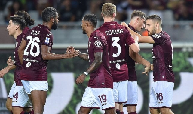 Serie A : le Torino s'impose face à l'Udinese 