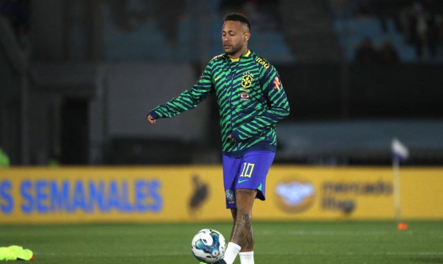 Brésil : le voyage polémique de Fernando Diniz chez Neymar