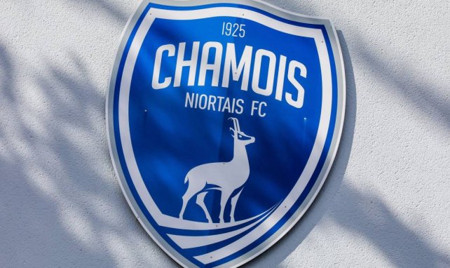 Le logo des Chamois Niortais