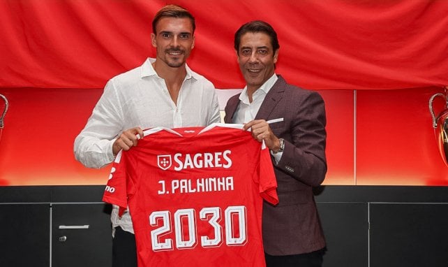 Benfica renforce son milieu de terrain avec João Palhinha