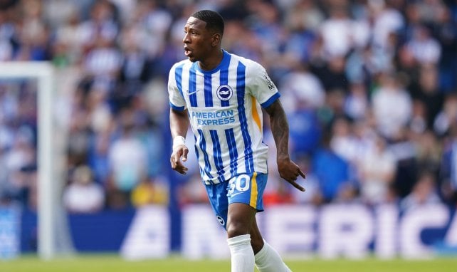 Pervis Estupiñán avec Brighton