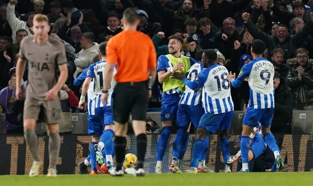 Les joueurs de Brighton célèbrent la victoire contre Tottenham