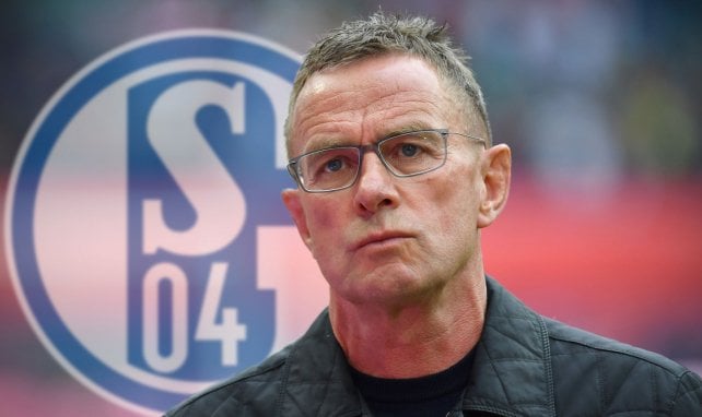 Schalke : Ralf Rangnick futur directeur sportif ?