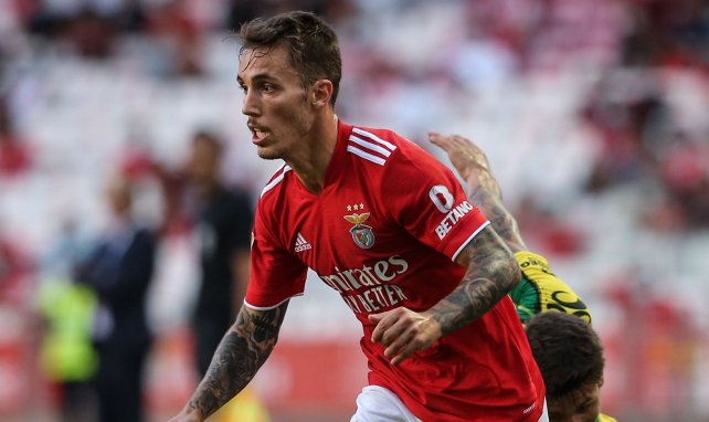 Benfica : Alex Grimaldo sur les tablettes de la Juve