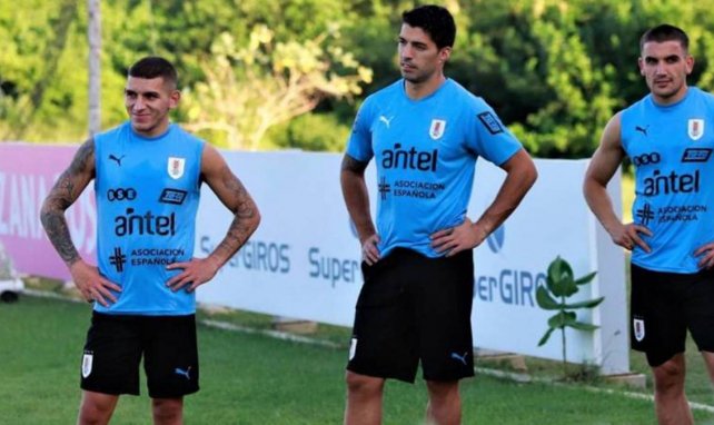 Luis Suarez à l'entraînement avec l'Uruguay