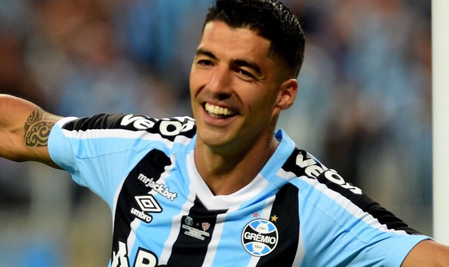 Grêmio : l’attitude de Luis Suarez choque ses coéquipiers