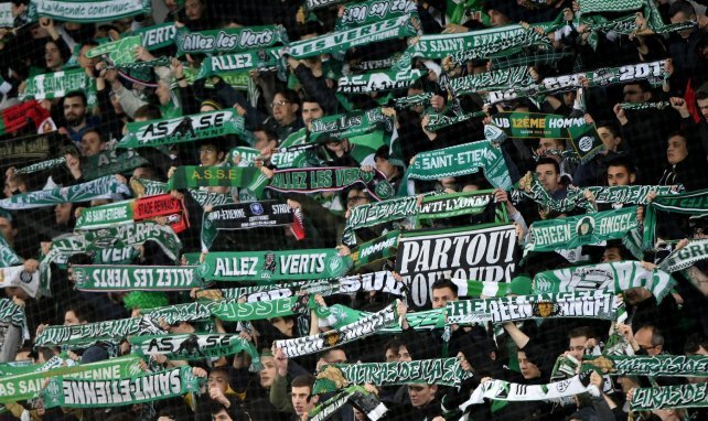 Les supporters de l'AS Saint Etienne en plein match