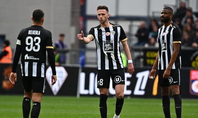 Branco van den Boomen proche d’un retour à Angers