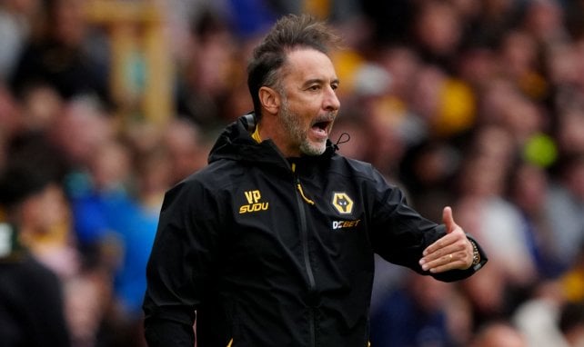Wolverhampton se sépare de Vitor Pereira
