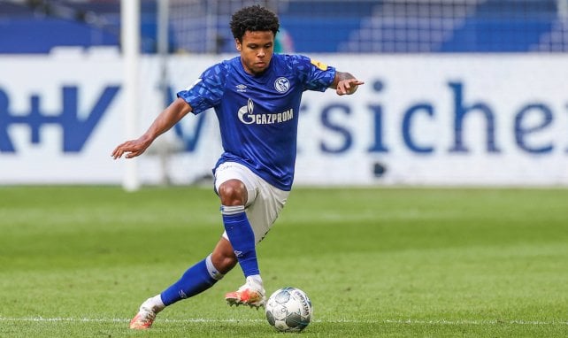 Weston McKennie avec Schalke 