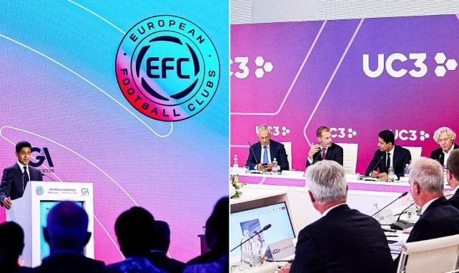 ECA EFC Nasser