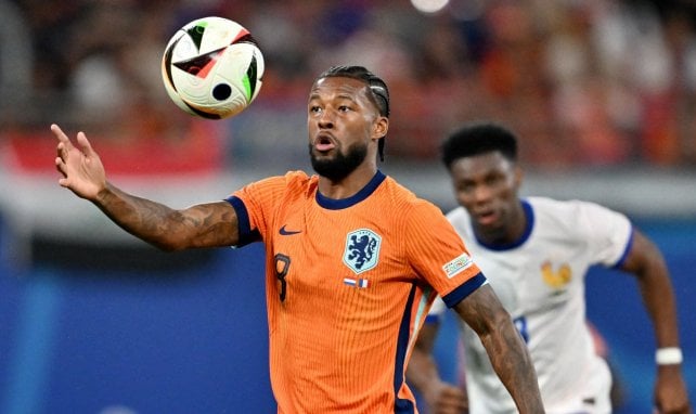 Georginio Wijnaldum contre la France lors de l'Euro 2024