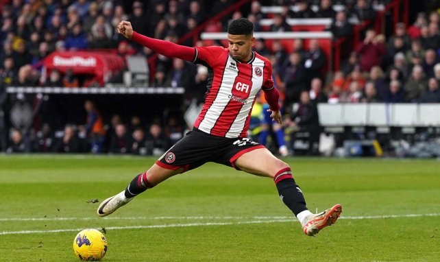 William Osula avec Sheffield United