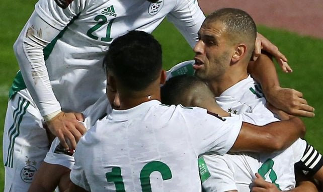 L'équipe d'Algérie qui célèbre un but.